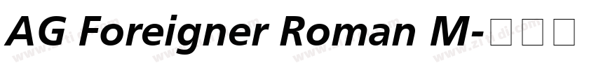 AG Foreigner Roman M字体转换